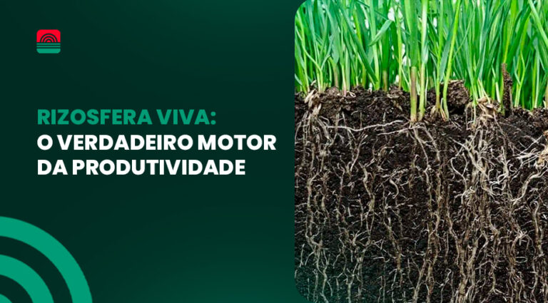 Como O Ph Do Solo Afeta A Disponibilidade De Nutrientes Solusolo
